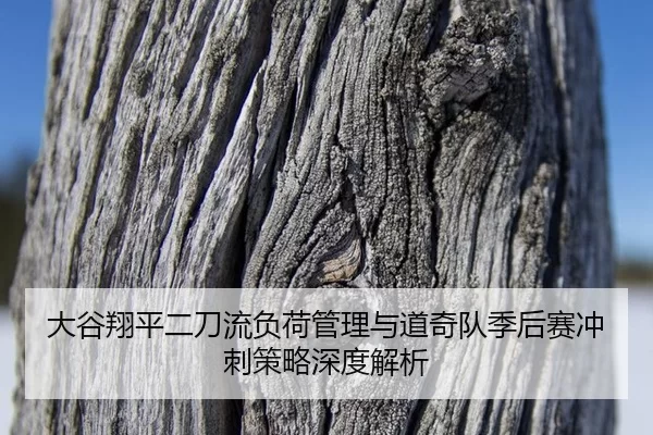 da-gu-xiang-ping-er-dao-liu-fu-he-guan-li-yu-dao-qi-dui-ji-hou-sai-chong-ci-ce-lve-shen-du-jie-xi-2-450.jpg