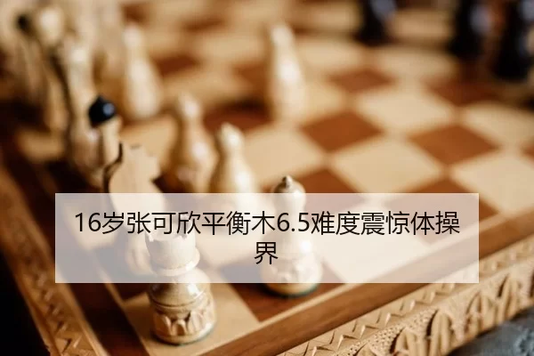 sui-zhang-ke-xin-ping-heng-mu-nan-du-zhen-jing-ti-cao-jie-3-489.jpg